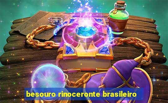 besouro rinoceronte brasileiro